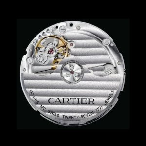 CARTIER Calibre de Cartier DIVER 04.jpg