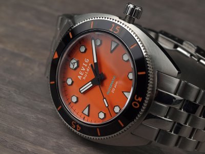 AEVIG huldra 04.JPG AEVIG huldra 04.JPG