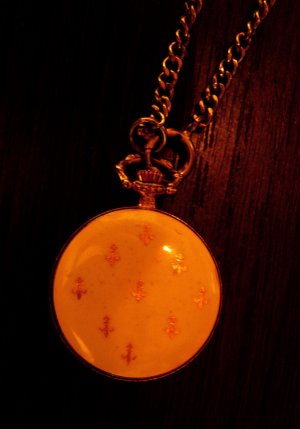 darwil-back.jpg darwil-back.jpg