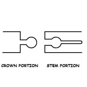 4crown-stem.jpg 4crown-stem.jpg
