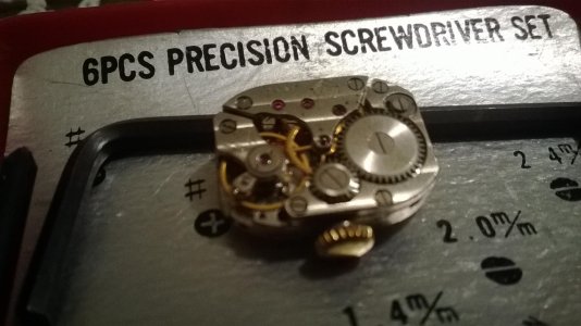 WP_20140118_002.jpg WP_20140118_002.jpg