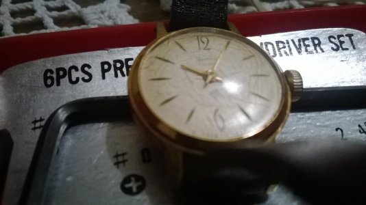 WP_20140118_009.jpg WP_20140118_009.jpg