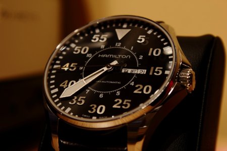 IMG_0911Hamilton Pilot.jpg