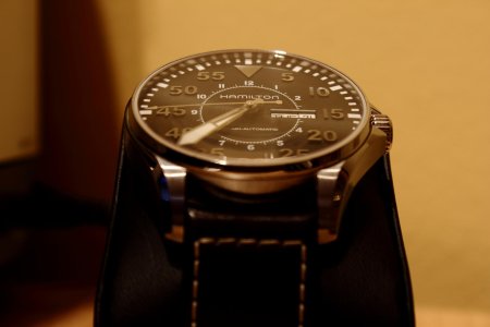 IMG_0906Hamilton Pilot 2.jpg