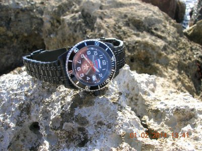 DSCN5238.jpg DSCN5238.jpg