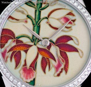 Vacheron+Constantin+M%u002525C3%u002525A9tiers+d%u00252527Art+Floril%u002525C3%u002525A8ge+ename.jpg