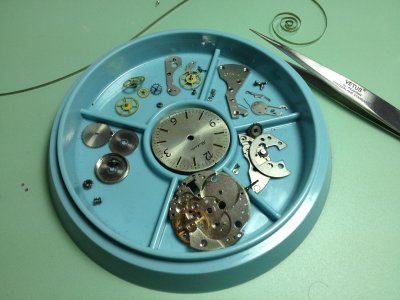 IMG_1834.jpg IMG_1834.jpg