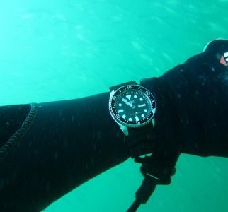 Seiko SKX007 Woodman Point 07-04-2013  (2).jpg