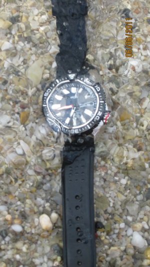 IMG_0826_resize.JPG IMG_0826_resize.JPG