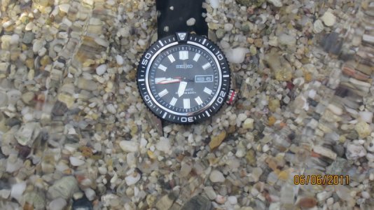 IMG_0829_resize.JPG IMG_0829_resize.JPG