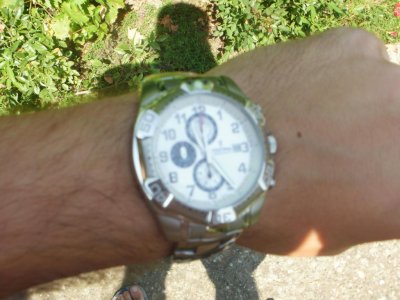 P6120954.jpg P6120954.jpg