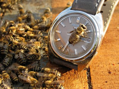 IMG_8842 ....jpg IMG_8842 ....jpg