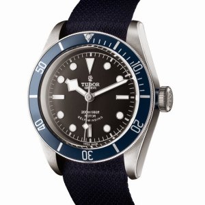 TUDOR Heritage Black Bay BLUE.jpg