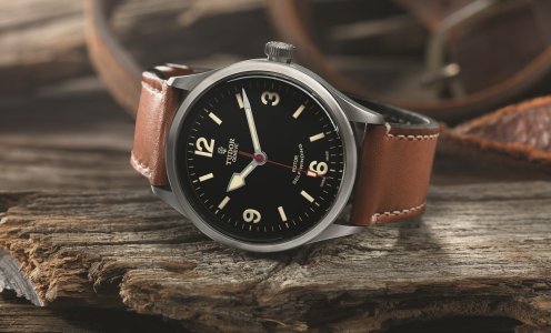 Tudor Heritage Ranger (4).jpg