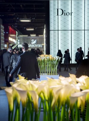 Baselworld-2014-foto-Swarovski-Dior.jpg