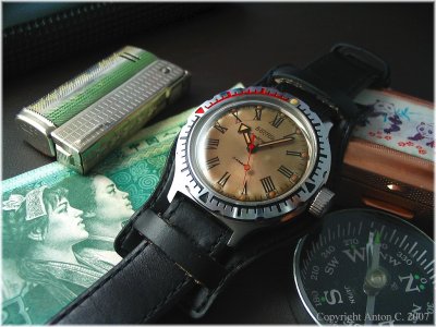 vostok_amphibian.jpg vostok_amphibian.jpg