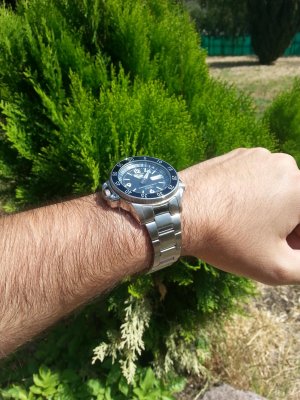 2013-08-18 11.02.14.jpg