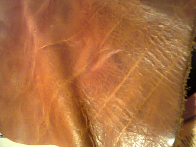 fotografija0737.jpg fotografija0737.jpg