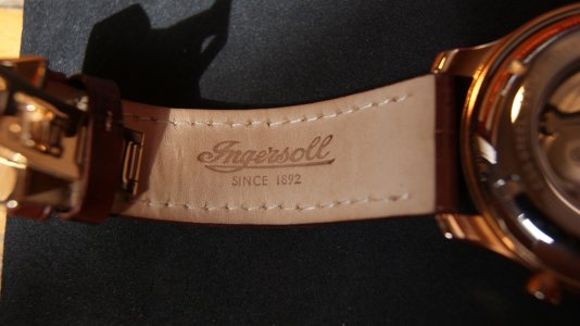 DSC01434.JPG DSC01434.JPG