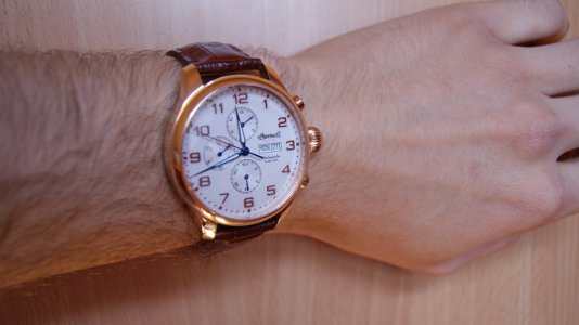 DSC01446.JPG DSC01446.JPG