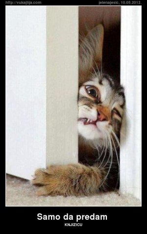 samo-da-predam.jpg
