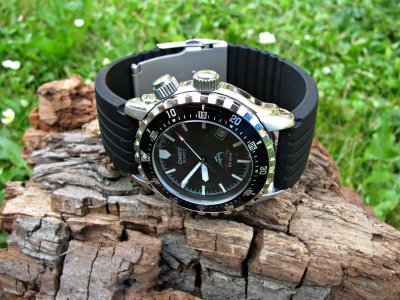 IMG_8073 ....jpg IMG_8073 ....jpg