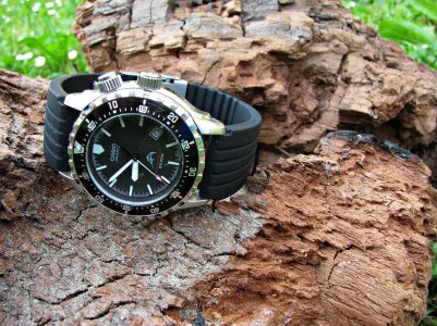 IMG_8074 ....jpg IMG_8074 ....jpg