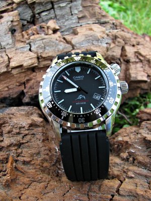 IMG_8081 ....jpg IMG_8081 ....jpg