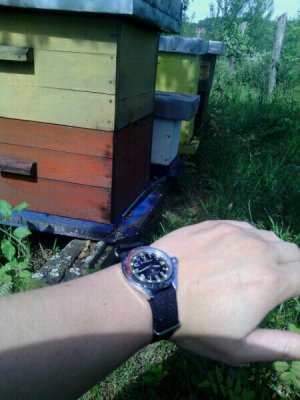 uploadfromtaptalk1403196403347.jpg uploadfromtaptalk1403196403347.jpg