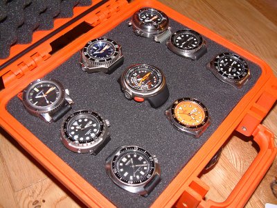 DSCF0773.jpg DSCF0773.jpg