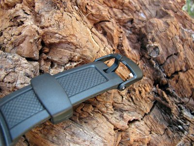 IMG_8181 ....JPG IMG_8181 ....JPG