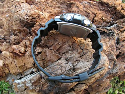 IMG_8184 ....JPG IMG_8184 ....JPG