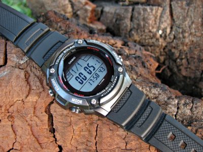 IMG_8235 ....JPG IMG_8235 ....JPG