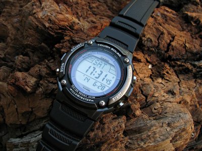 IMG_8169 ....jpg IMG_8169 ....jpg