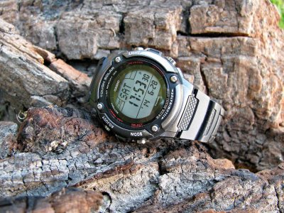 IMG_8221 ....jpg IMG_8221 ....jpg