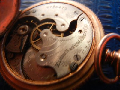 svet 358.jpg svet 358.jpg