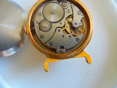 svet 384.jpg svet 384.jpg