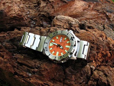 IMG_7912 ....jpg IMG_7912 ....jpg