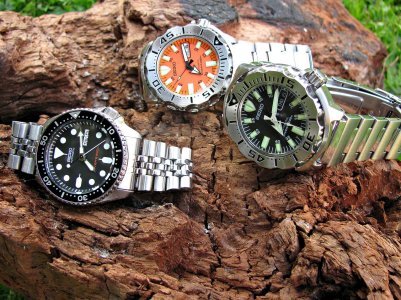 IMG_7921 ....jpg IMG_7921 ....jpg