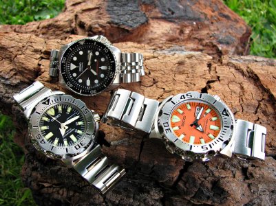 IMG_7925 ....jpg IMG_7925 ....jpg