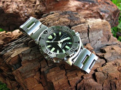 IMG_7930 ....jpg IMG_7930 ....jpg