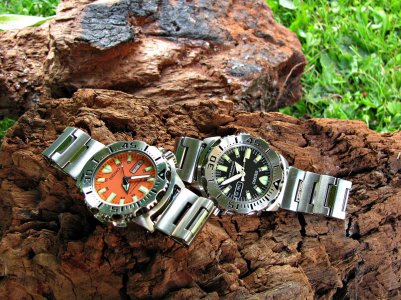 IMG_7948 ....jpg IMG_7948 ....jpg