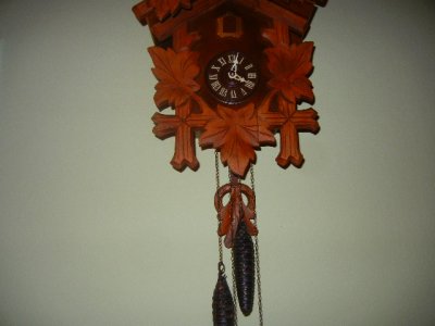 svet 440.jpg svet 440.jpg