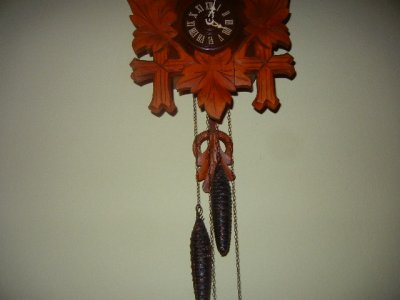 svet 441.jpg svet 441.jpg