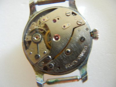 svet 448.jpg svet 448.jpg