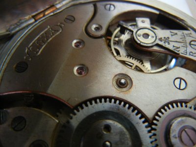 svet 736.jpg svet 736.jpg