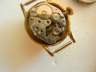 svet 716.jpg svet 716.jpg