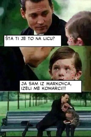 komarci.jpg
