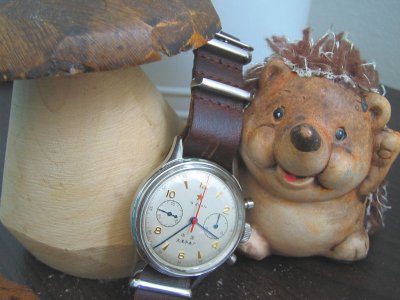 IMG_1191.jpg IMG_1191.jpg