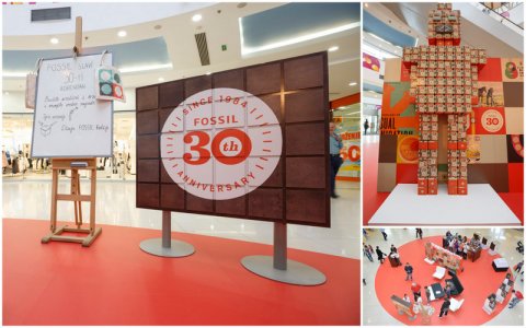 Fossil event images.jpg